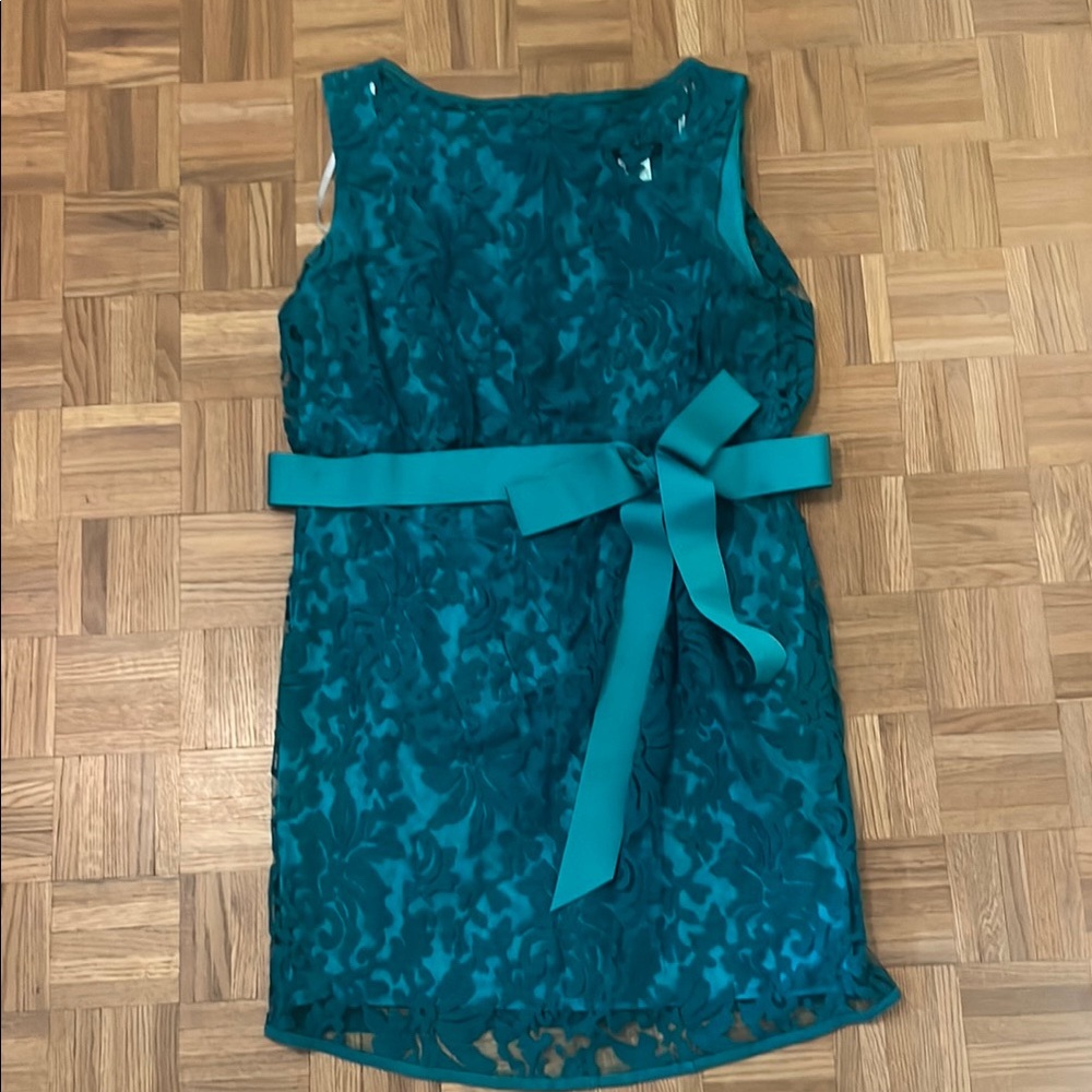 Tadashi Shoji Vibrant Teal Dress
